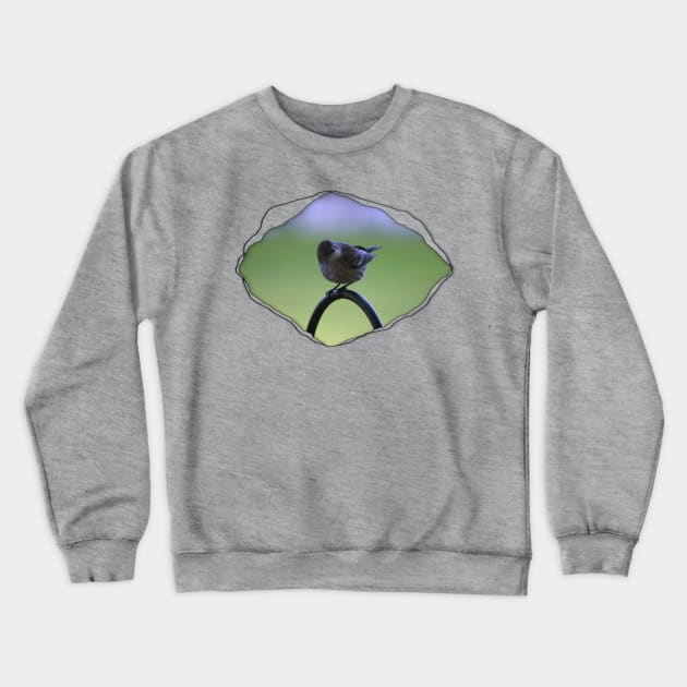 Warbler Perched Popping from Torn Material Crewneck Sweatshirt by ButterflyInTheAttic